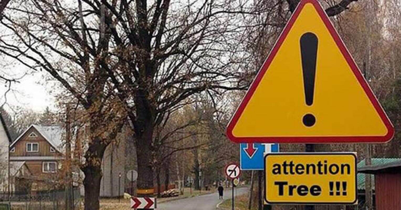 Las señales de trafico más raras del mundo